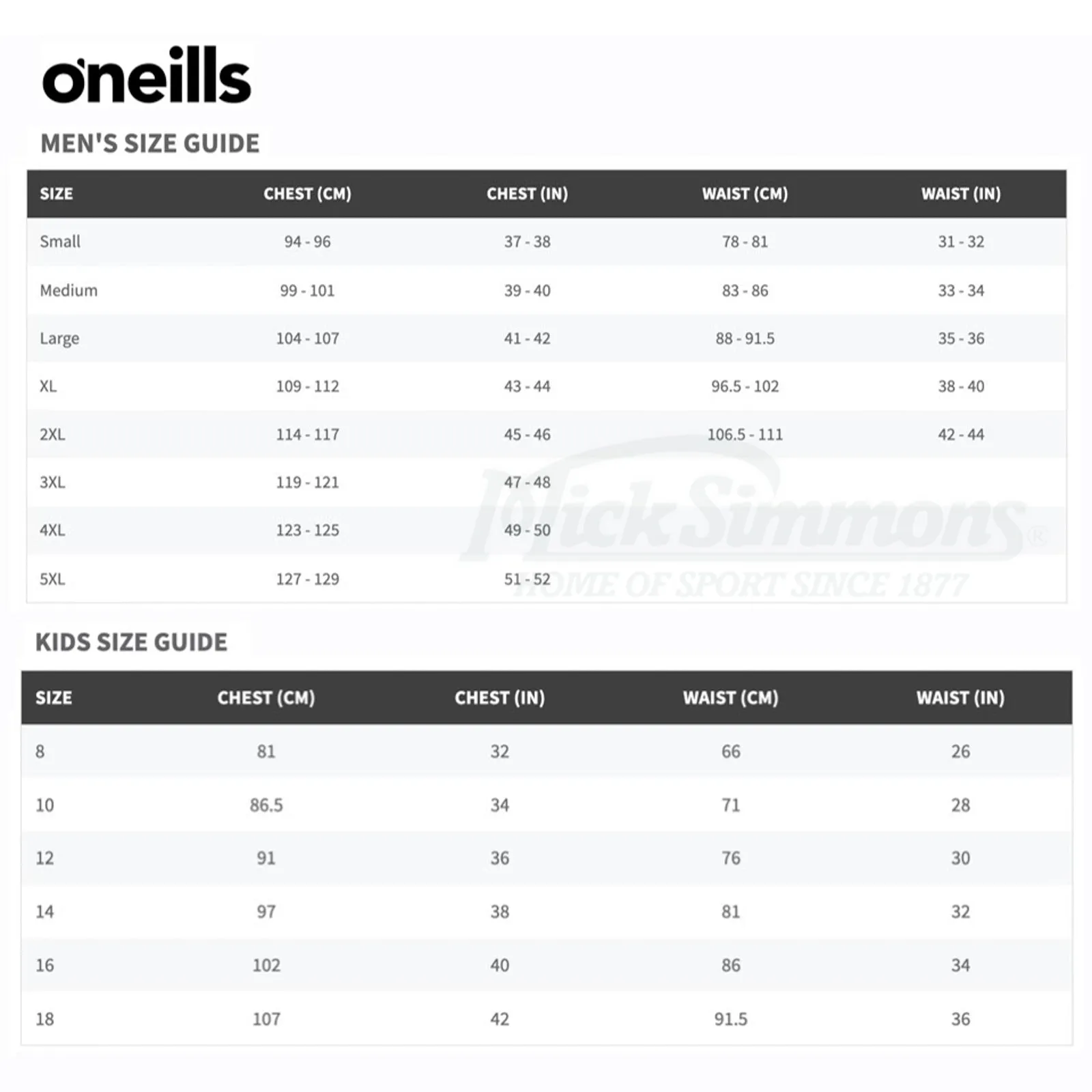 Melbourne Storm 2025 Men's Media Polo NRL Rugby League by O'Neills